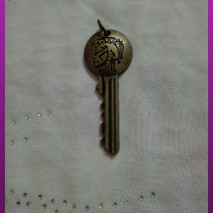 پلاک کلید دیزل